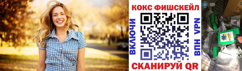 omg ССЫЛКА  Елизово  Кокаин 98% 