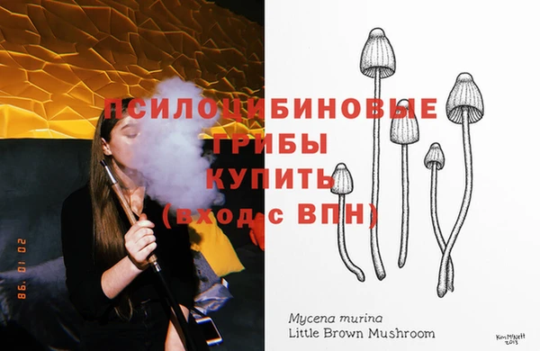 стафф Алзамай