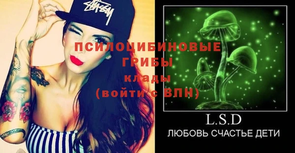 apvp Алексеевка