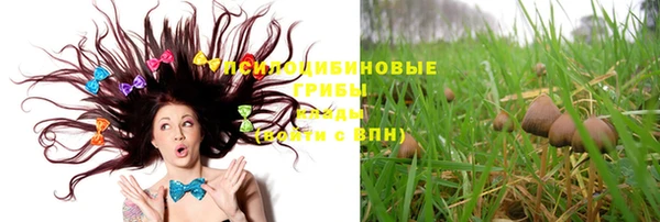 apvp Алексеевка