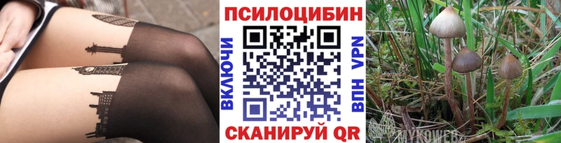 Псилоцибиновые грибы ЛСД  закладка  Елизово 